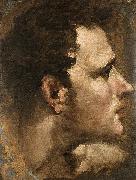 Domenico Beccafumi Head of a Youth Seen in Profile oil painting on canvas